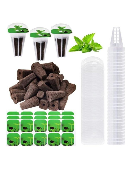 Kit de Cápsulas de Semillas Hidropónicas YBB - 30 Esponjas, Cestas y Domos Kit de Cápsulas de Semillas Hidropónicas YBB - 30 Esponjas, Cestas y Domos