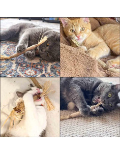 Paquete de 4 Palos de Silvervine Natural Yuntop para Gatos 2