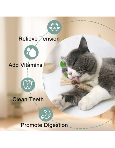 Juguetes Interactivos para Gatos 7 en 1 con Ventosa Donguan