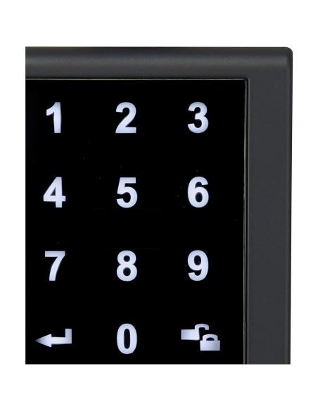 Cerradura Electrónica Amazon Basics ZGP4910 Teclado Táctil 2.39kg Cerradura Electrónica Amazon Basics ZGP4910 Teclado Táctil 2.39kg