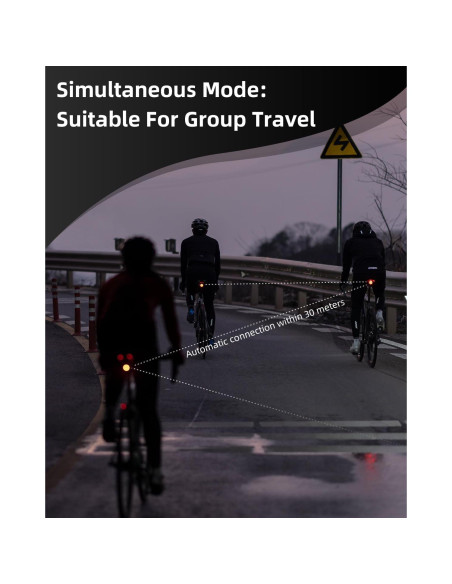 Luz Trasera para Bicicleta ROCKBROS LED Recargable USB IPX6 Luz Trasera para Bicicleta ROCKBROS LED Recargable USB IPX6