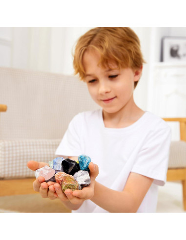 Set de Rocas y Minerales YXZZWL - 30 Piezas Educativas