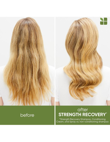 Acondicionador Leave-In Biolage L'Oreal 220 g Reparador