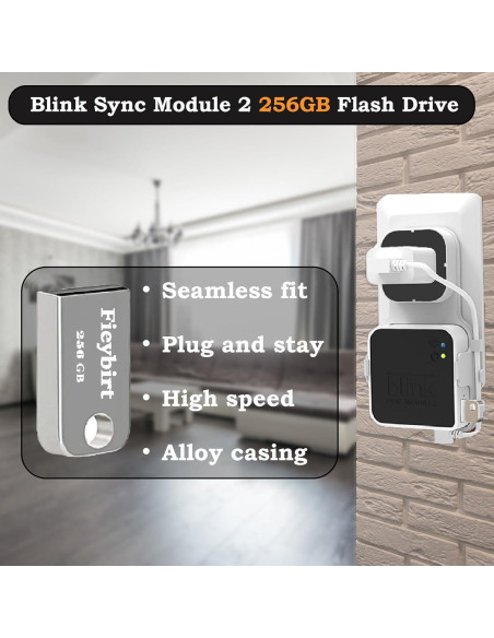 Unidad Flash USB 256GB Fieybirt + Soporte Blink 2 Unidad Flash USB 256GB Fieybirt + Soporte Blink 2