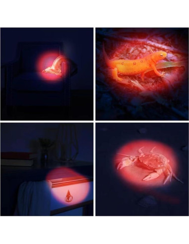 Paquete de 100 Linternas LED Rojo RaySoar para Observación Nocturna