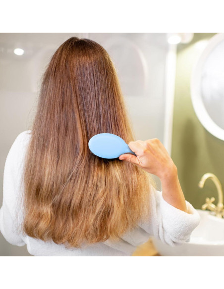 30 Mini Cepillos de Viaje Lawei para Cabello - 15 Colores 30 Mini Cepillos de Viaje Lawei para Cabello - 15 Colores