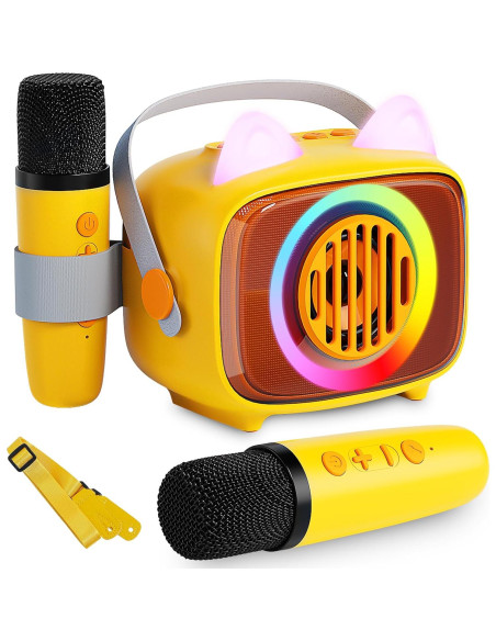 Karaoke Portátil BIGASUO con 2 Micrófonos y Luces LED Karaoke Portátil BIGASUO con 2 Micrófonos y Luces LED