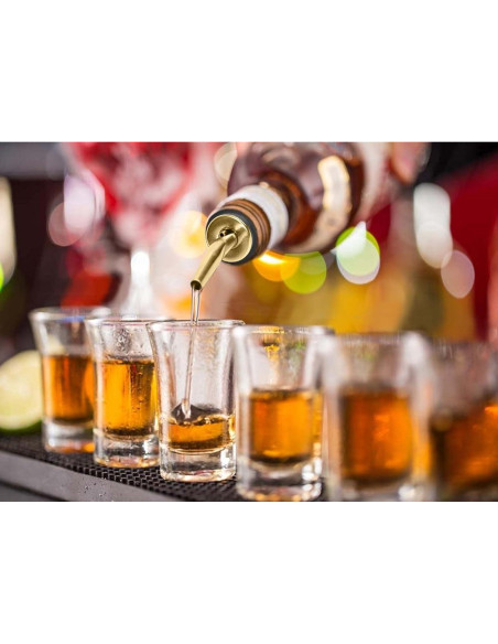 Set de 12 Vertedores de Licor WAFJAMF Acero Inoxidable Oro Set de 12 Vertedores de Licor WAFJAMF Acero Inoxidable Oro