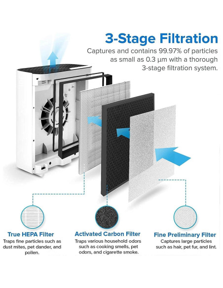 Filtro de Repuesto LEVOIT Vital 100-RF 3 en 1, Paquete de 2 Filtro de Repuesto LEVOIT Vital 100-RF 3 en 1, Paquete de 2