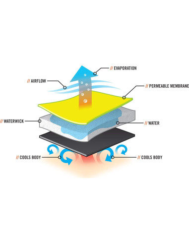 Chaleco Enfriamiento Ergodyne 6685 Seco Grande Transpirable
