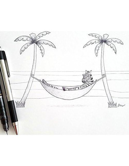 Lápices Mecánicos Zebra Pen M-301 Acero Inoxidable 0.5mm Paquete de 2 Lápices Mecánicos Zebra Pen M-301 Acero Inoxidable 0.5mm Paquete de 2