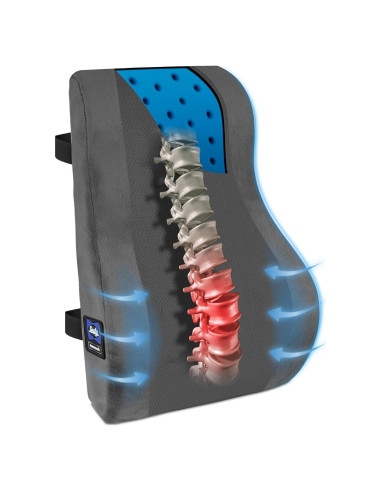 Almohada Lumbar Sealy SL11091 Espuma con Memoria Gris