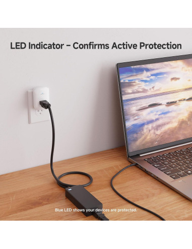 Protector de Sobretensión Cable Matters 1350J 1 Salida 500V