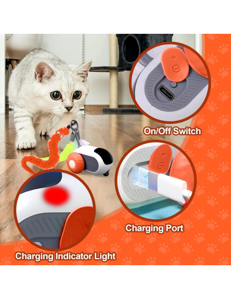 Juguete Interactivo para Gatos BABORUI H-402-2 Naranja Juguete Interactivo para Gatos BABORUI H-402-2 Naranja
