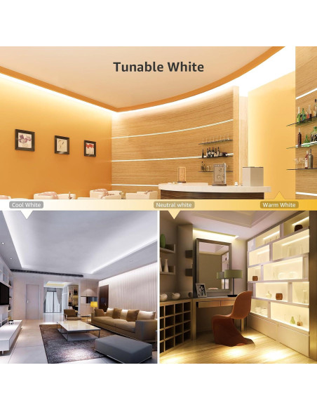 Tira LED Lepro 5m Regulable Blanco Ajustable 300 LEDs 12V Tira LED Lepro 5m Regulable Blanco Ajustable 300 LEDs 12V