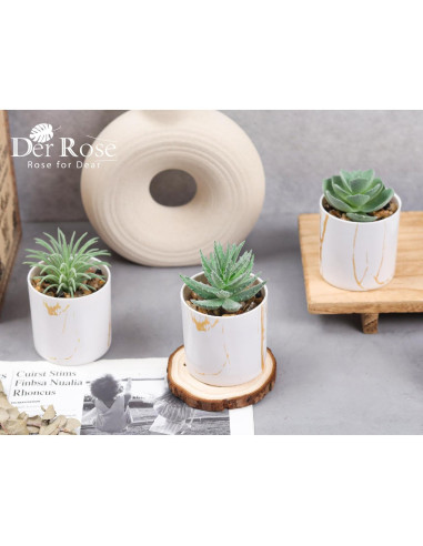 Plantas Artificiales Suculentas Der Rose - 3 Piezas Verde
