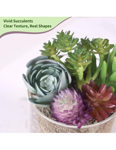 CEWOR 14pcs Suculentas Artificiales Realistas para Decoración