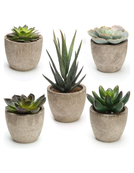 Conjunto de 5 Plantas Suculentas Artificiales Coitak en Macetas Conjunto de 5 Plantas Suculentas Artificiales Coitak en Macetas