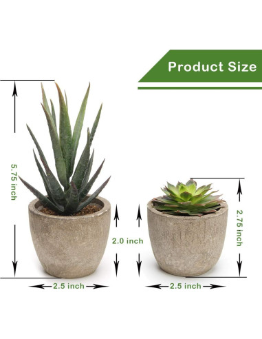 Conjunto de 5 Plantas Suculentas Artificiales Coitak en Macetas