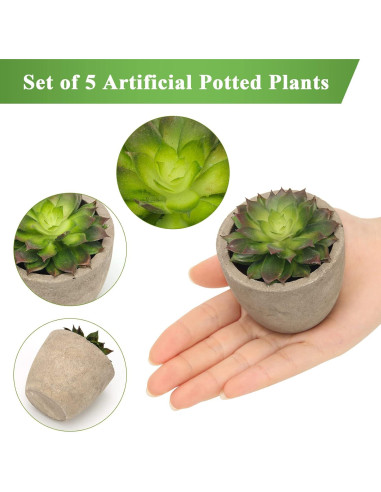 Conjunto de 5 Plantas Suculentas Artificiales Coitak en Macetas
