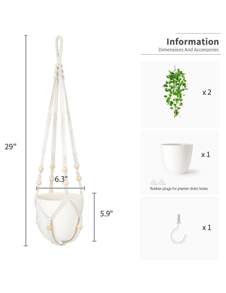 Planta Colgante Falsa Mkono Pothos con Maceta 76.2 cm Planta Colgante Falsa Mkono Pothos con Maceta 76.2 cm