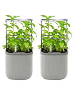 Macetas de Autorriego Vego Jardín - Paquete Doble Gris Niebla