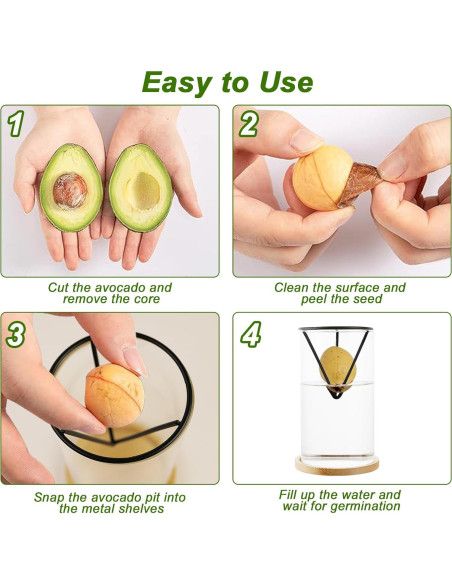 Kit de Crecimiento de Árbol de Aguacate Uprony 2PCS Jarrón Vidrio Kit de Crecimiento de Árbol de Aguacate Uprony 2PCS Jarrón Vidrio