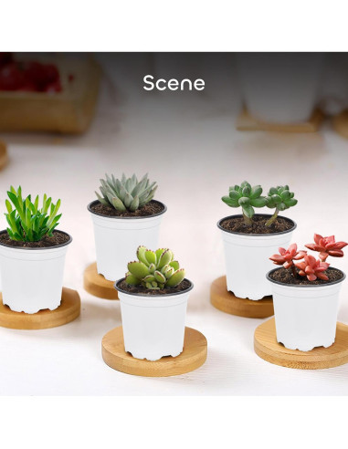 GROWNEER 120 Macetas Blancas de Vivero 10.16 cm con Drenaje