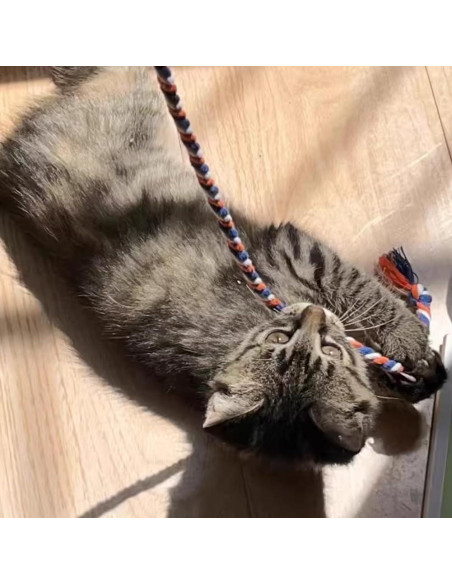 Varitas para Gatos IUHKBH 4 Pcs Juguetes Interactivos Coloridos