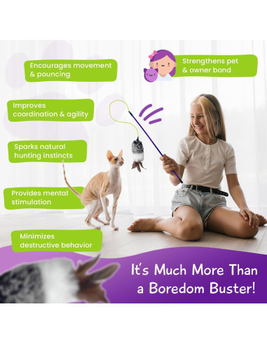 Varita Juguete Interactiva para Gatos Huihzou 40.64 cm Plumas