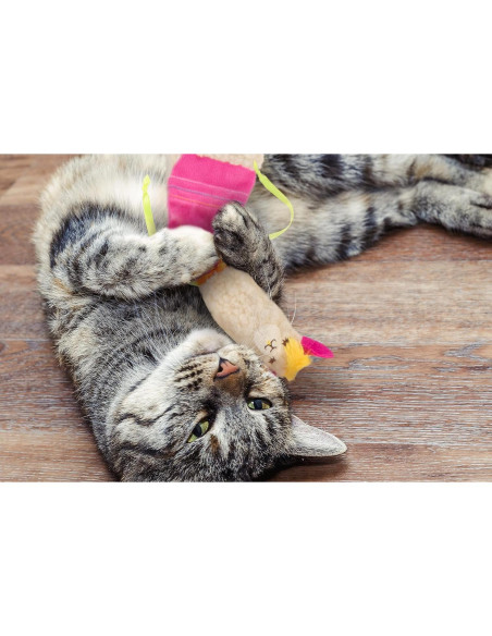 Juguete para Gato SmartyKat Llama Patona con Catnip - Blanco/Rosa Juguete para Gato SmartyKat Llama Patona con Catnip - Blanco/Rosa