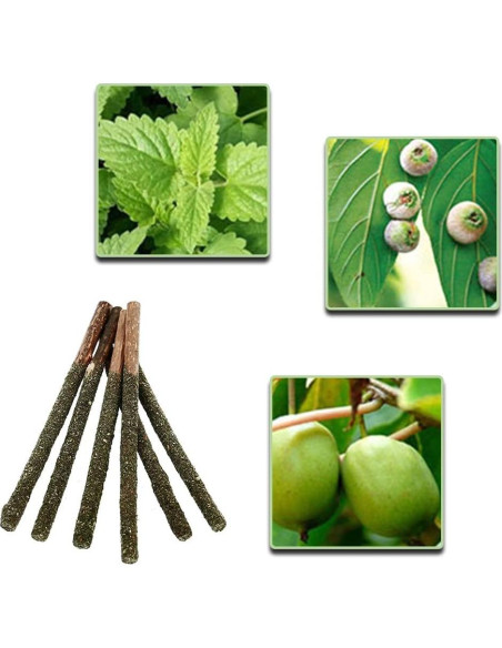 Palos de Menta para Gatos HZ-M - 6 Piezas Naturales Palos de Menta para Gatos HZ-M - 6 Piezas Naturales
