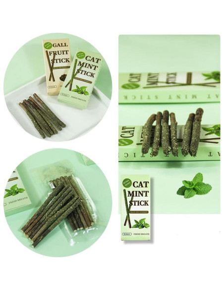 Palos de Menta para Gatos HZ-M - 6 Piezas Naturales Palos de Menta para Gatos HZ-M - 6 Piezas Naturales