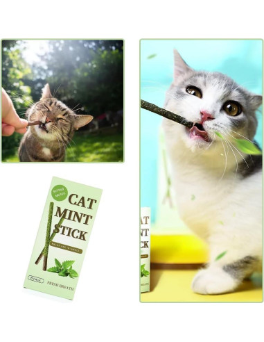 Palos de Menta para Gatos HZ-M - 6 Piezas Naturales