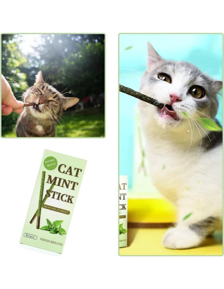 Palos de Menta para Gatos HZ-M - 6 Piezas Naturales Palos de Menta para Gatos HZ-M - 6 Piezas Naturales