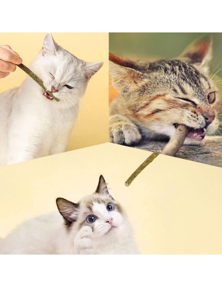 Palos de Menta para Gatos HZ-M - 6 Piezas Naturales Palos de Menta para Gatos HZ-M - 6 Piezas Naturales