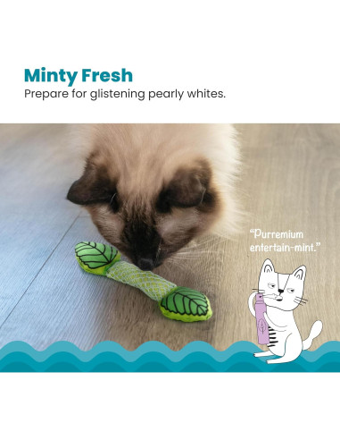 Juguete Dental para Gatos Petstages Fresh Breath - Paquete de 2