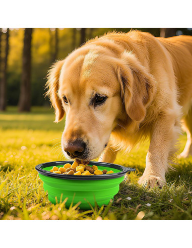 Cuencos Plegables para Perros Blusaryme 14.5cm Silicona