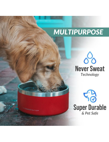 Tazón para Perros Coldest 21 oz Acero Inoxidable Antideslizante