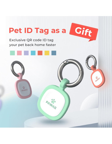 Tazón de Comida y Agua para Perros Pawaii 1.01L Acero Inoxidable