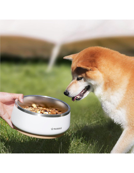 Tazón de Comida y Agua para Perros Pawaii 1.01L Acero Inoxidable Tazón de Comida y Agua para Perros Pawaii 1.01L Acero Inoxidable