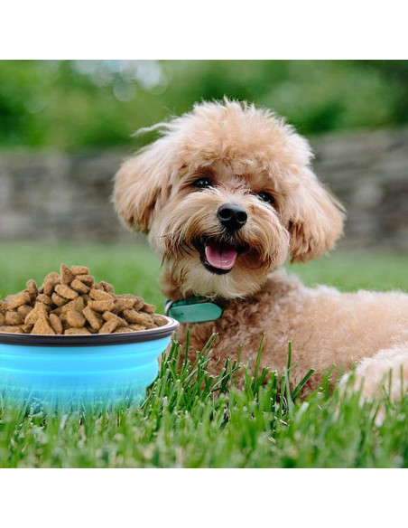 Tazones Plegables para Perros Guardians 34oz 2 Piezas Azul Verde Tazones Plegables para Perros Guardians 34oz 2 Piezas Azul Verde