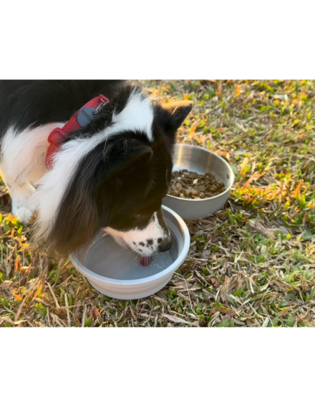 Tazones de Viaje para Perros Xuyub 1.18L Acero Inoxidable Tazones de Viaje para Perros Xuyub 1.18L Acero Inoxidable