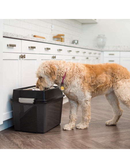 Cuencos Elevados para Perros Grandes IRIS USA con Almacenamiento Cuencos Elevados para Perros Grandes IRIS USA con Almacenamiento