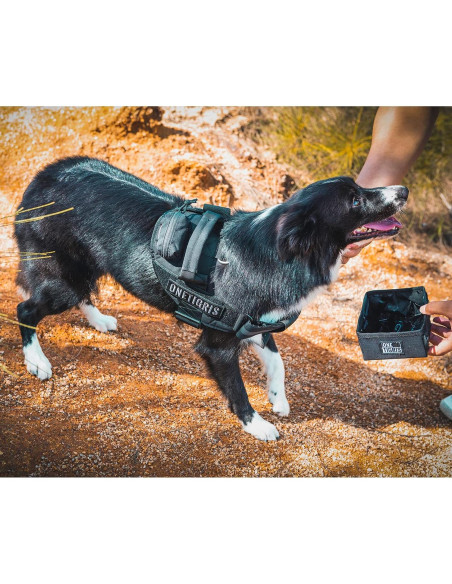 Cuenco Plegable para Mascotas OneTigris 2.1L Negro Cuenco Plegable para Mascotas OneTigris 2.1L Negro