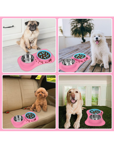 Cuencos de Alimentación Lenta Anipaw 3 en 1 con Tapete Antideslizante