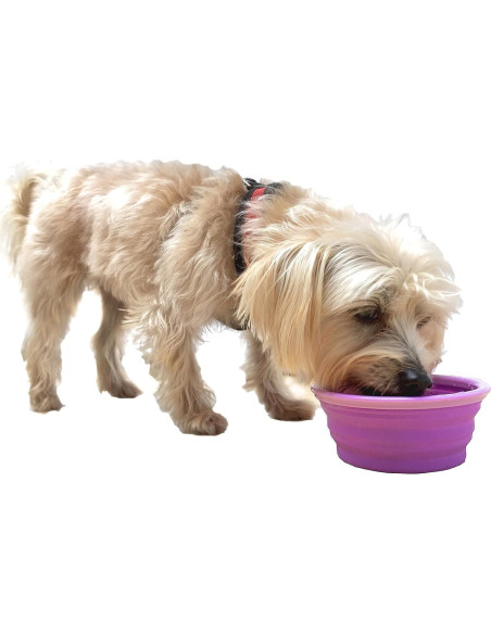 Tazón de Viaje Plegable Prima Pets 1.5 Tazas Púrpura - 2 Paquete Tazón de Viaje Plegable Prima Pets 1.5 Tazas Púrpura - 2 Paquete