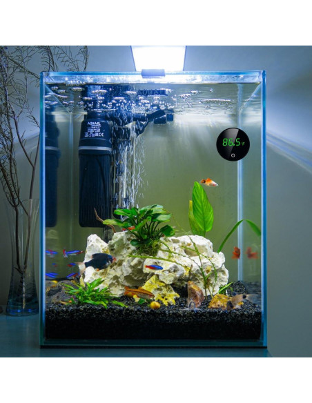 Termómetro Digital para Acuario DONGKER, LED, Adherible Termómetro Digital para Acuario DONGKER, LED, Adherible