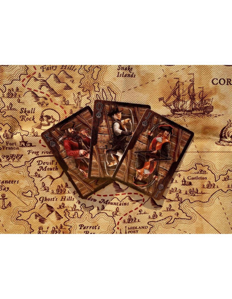 Baraja de Cartas Jolly Roger Bicycle Edición Limitada Pirata Baraja de Cartas Jolly Roger Bicycle Edición Limitada Pirata