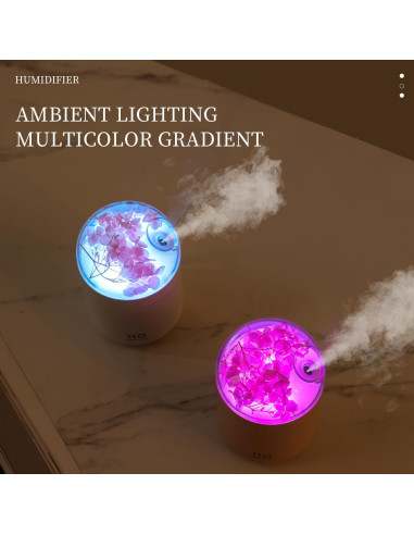 Humidificador Mini H2O Jialong Rosa 2W Niebla Fría LED